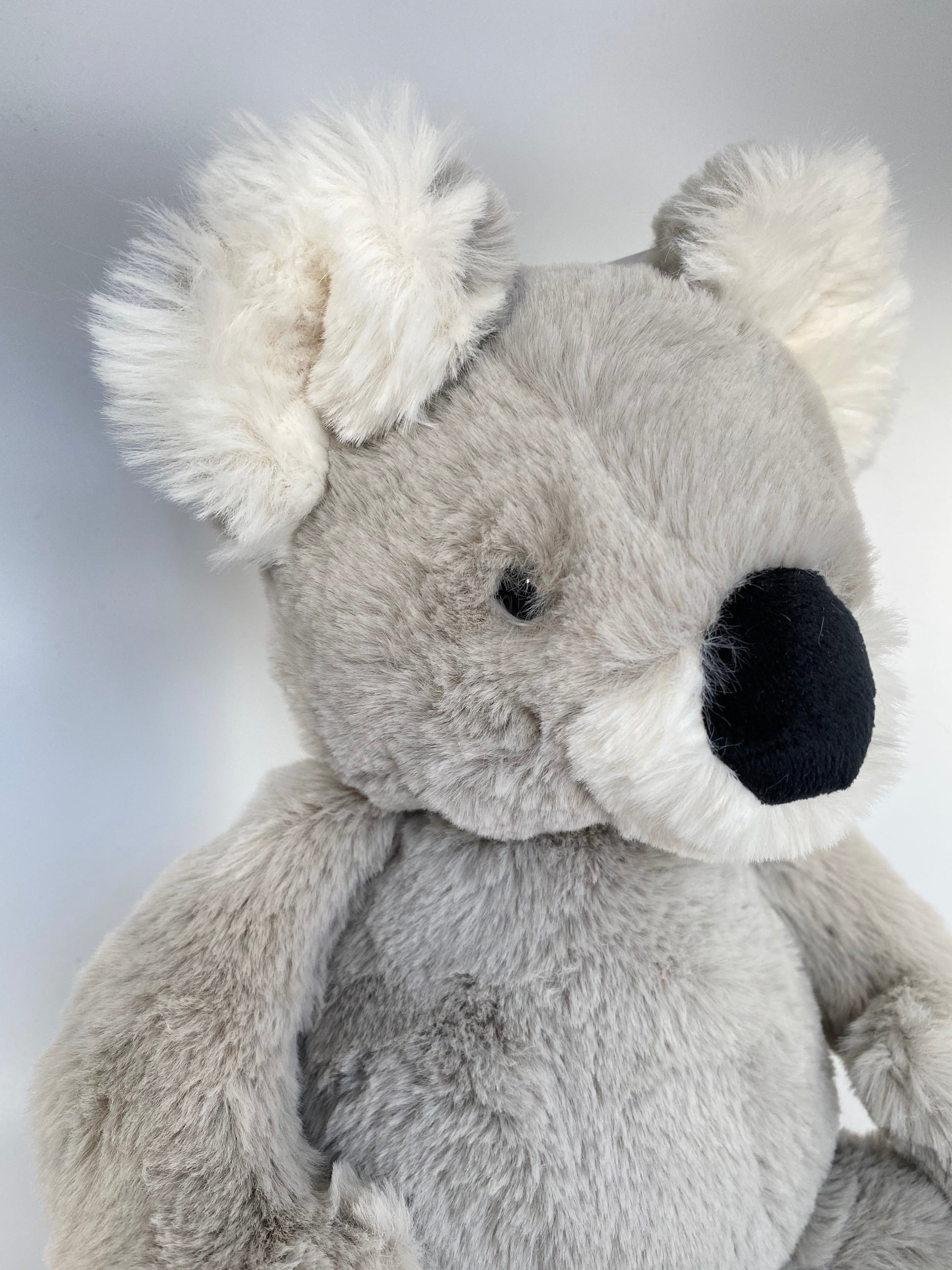 Medium Benji Koala Collection Jellycat de Londres. BEN3K